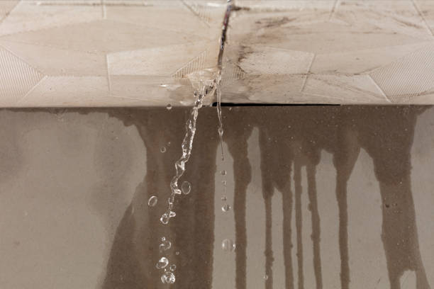 Professional Sewage Cleanup technician working in Spring Valley, WI